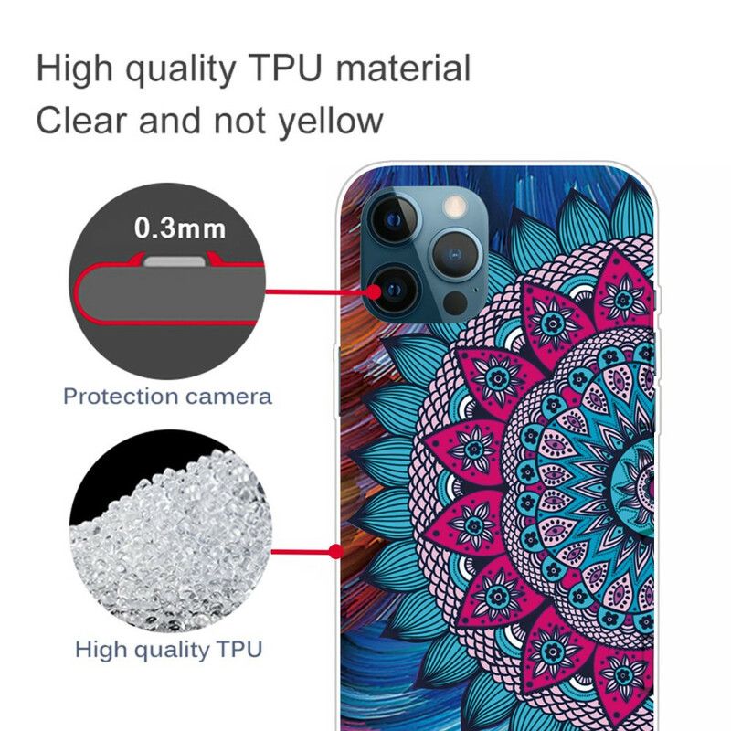 Cover Til iPhone 13 Pro Max Farverig Mandala