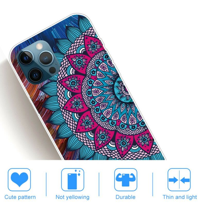 Cover Til iPhone 13 Pro Max Farverig Mandala