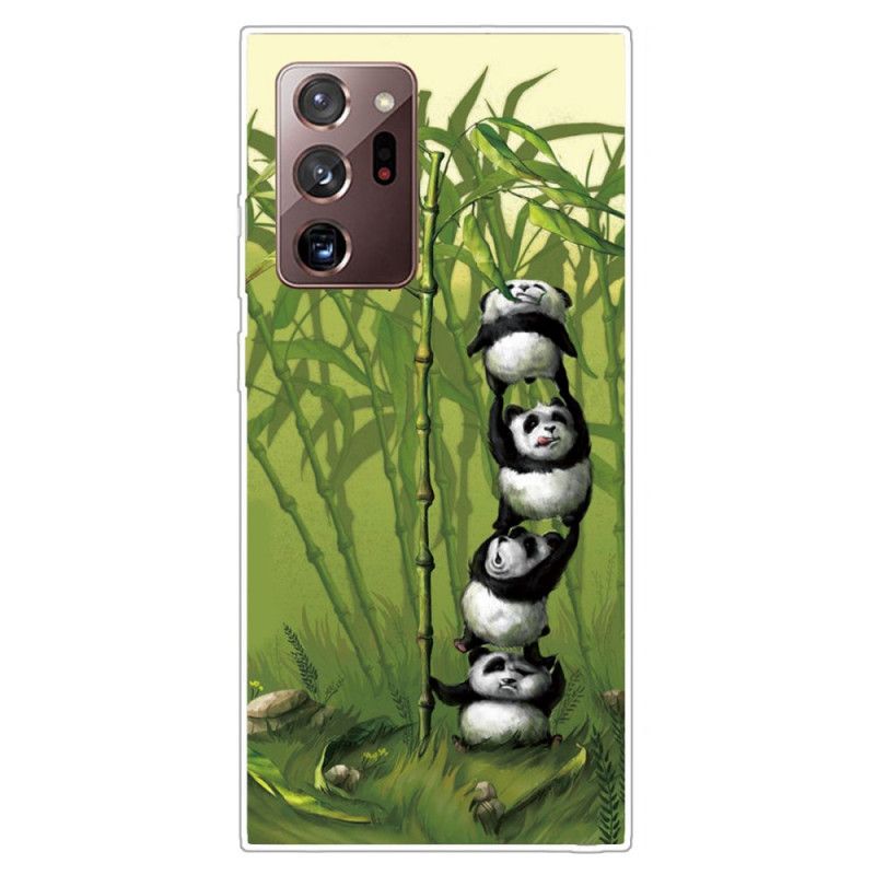 Cover Samsung Galaxy Note 20 Ultra Bunke Af Pandaer