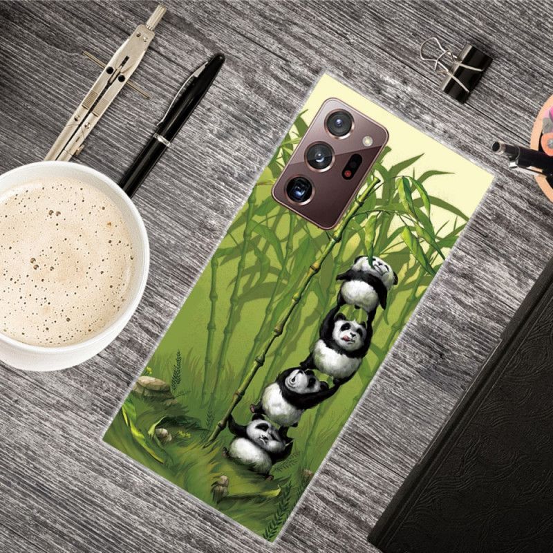 Cover Samsung Galaxy Note 20 Ultra Bunke Af Pandaer