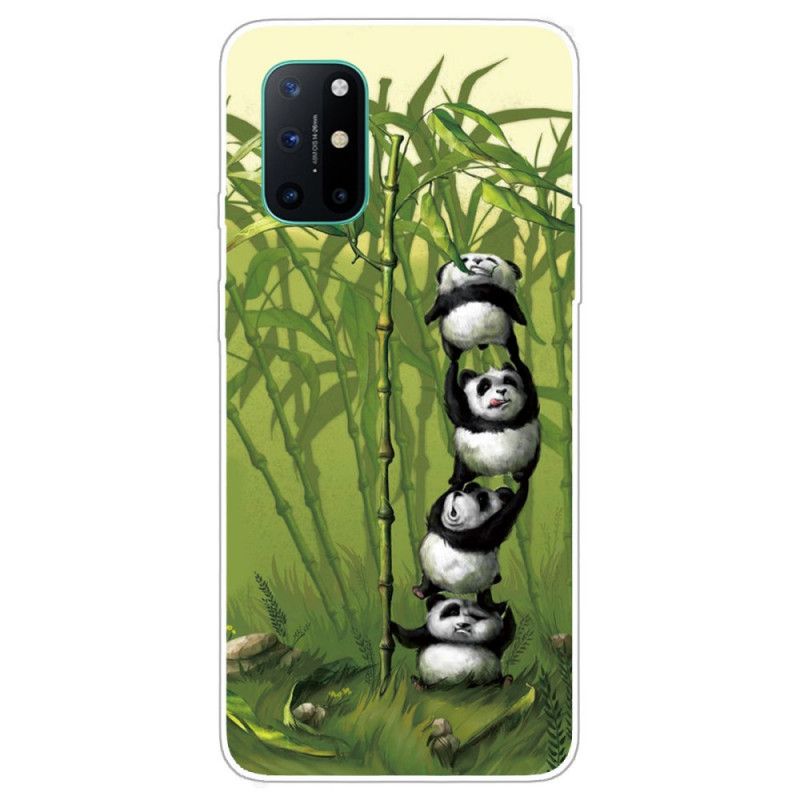 Cover OnePlus 8T Bunke Af Pandaer