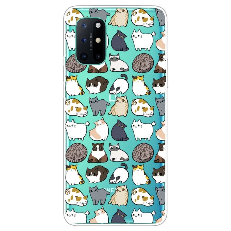 Cover OnePlus 8T Gennemsigtige Flere Katte