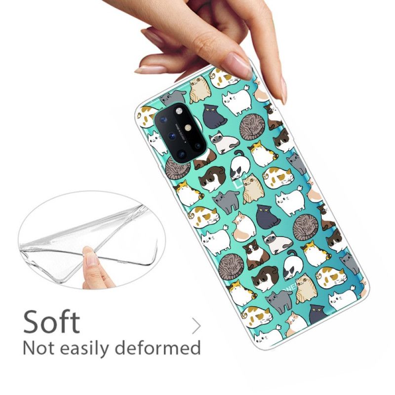 Cover OnePlus 8T Gennemsigtige Flere Katte