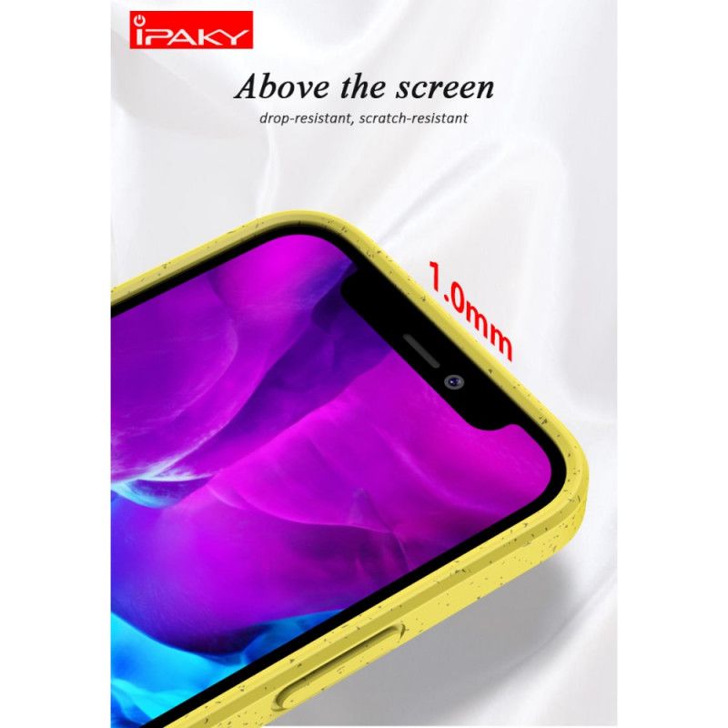 Cover iPhone 12 / 12 Pro Sort Design Ipaky Hvedestrå