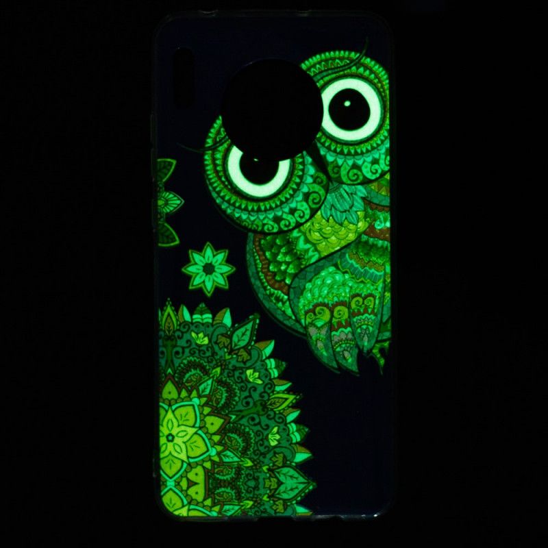 Cover Huawei Mate 30 Pro Fluorescerende Mandalaugle