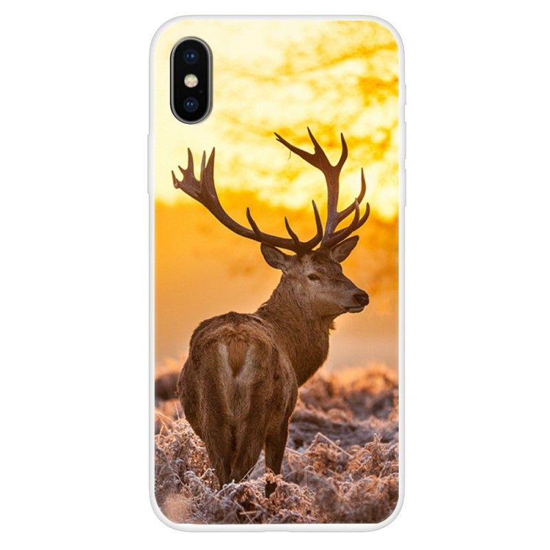 Cover for iPhone XS Rådyr Og Landskab