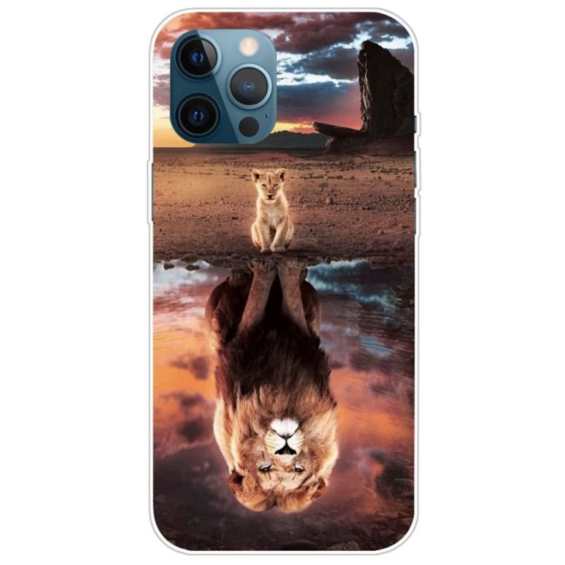 Cover iPhone 14 Pro Kattedyr