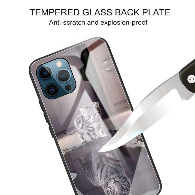 Cover iPhone 13 Pro Killingedrøm I Hærdet Glas